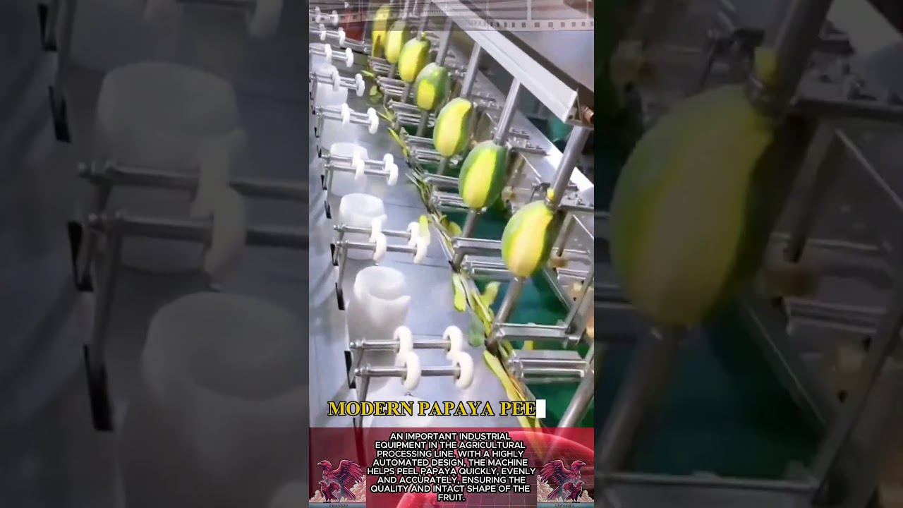 Papaya Peeler || Processing Technology