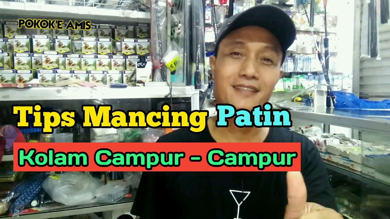Menentukan Umpan Ikan Patin kolam Campur.