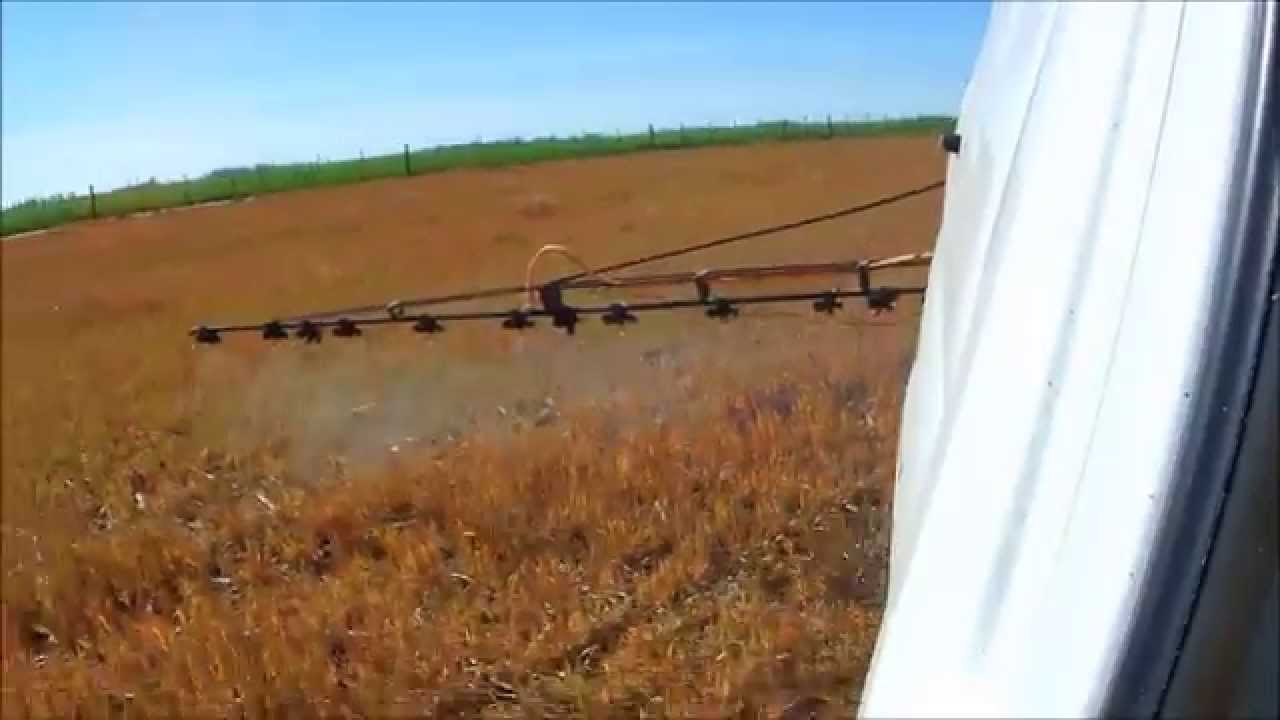 Ensayo pastillas y diferentes volumenes de aplicación