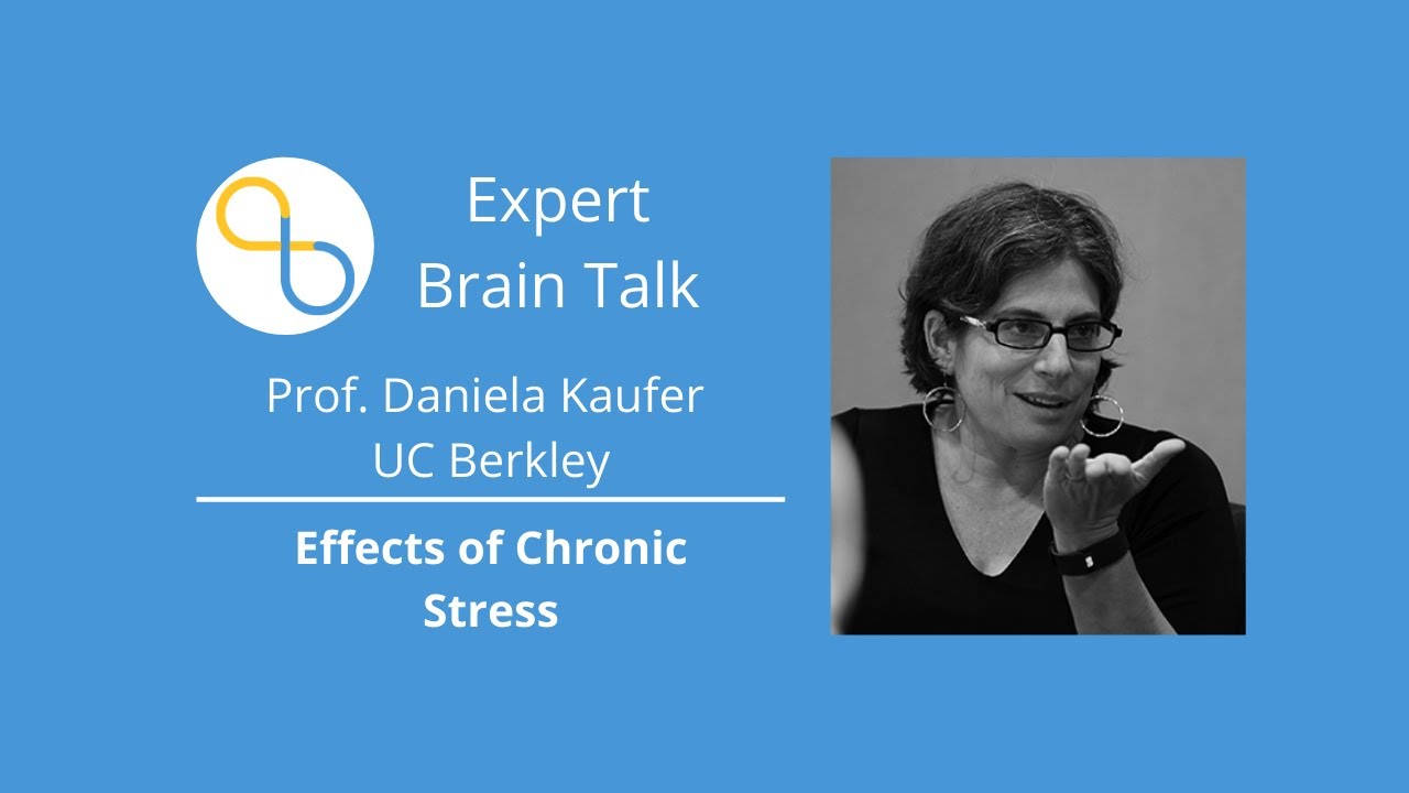 The Effects of Chronic Stress on the Brain | Brain Talks | Being Patient Alzheimer's