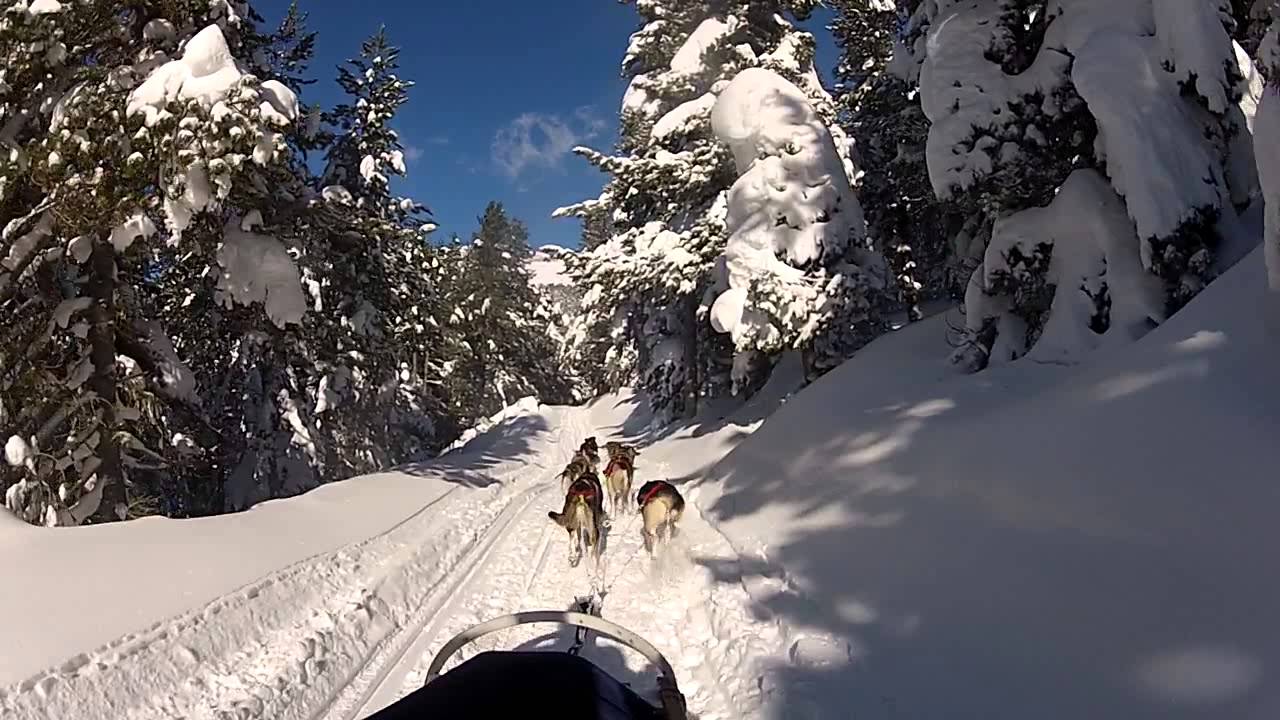 Excursión en trineo de perros, Beret-Montgarri