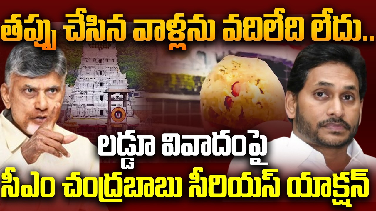 తప్పు చేసిన వాళ్లను వదిలేది లేదు : CM Chandrababu Key Decision On Tirumala Laddu Adulteration Issue