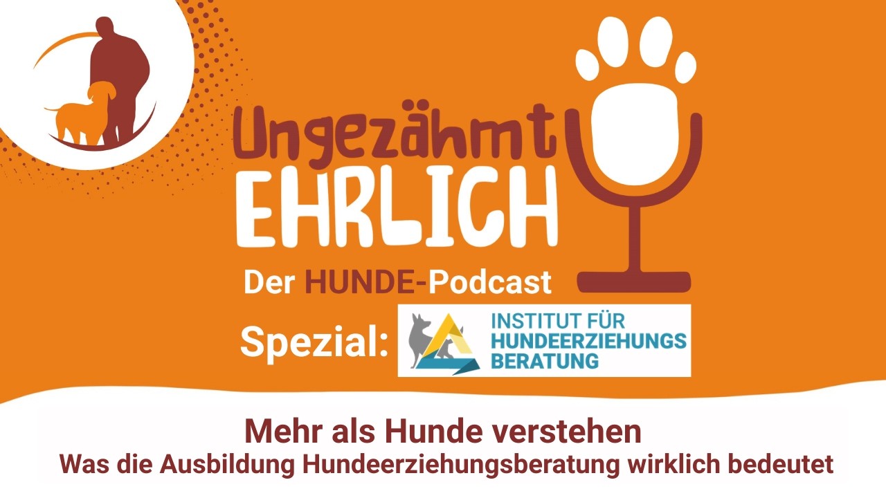 Mehr als Hunde verstehen - Was die Ausbildung Hundeerziehungsberatung wirklich bedeutet