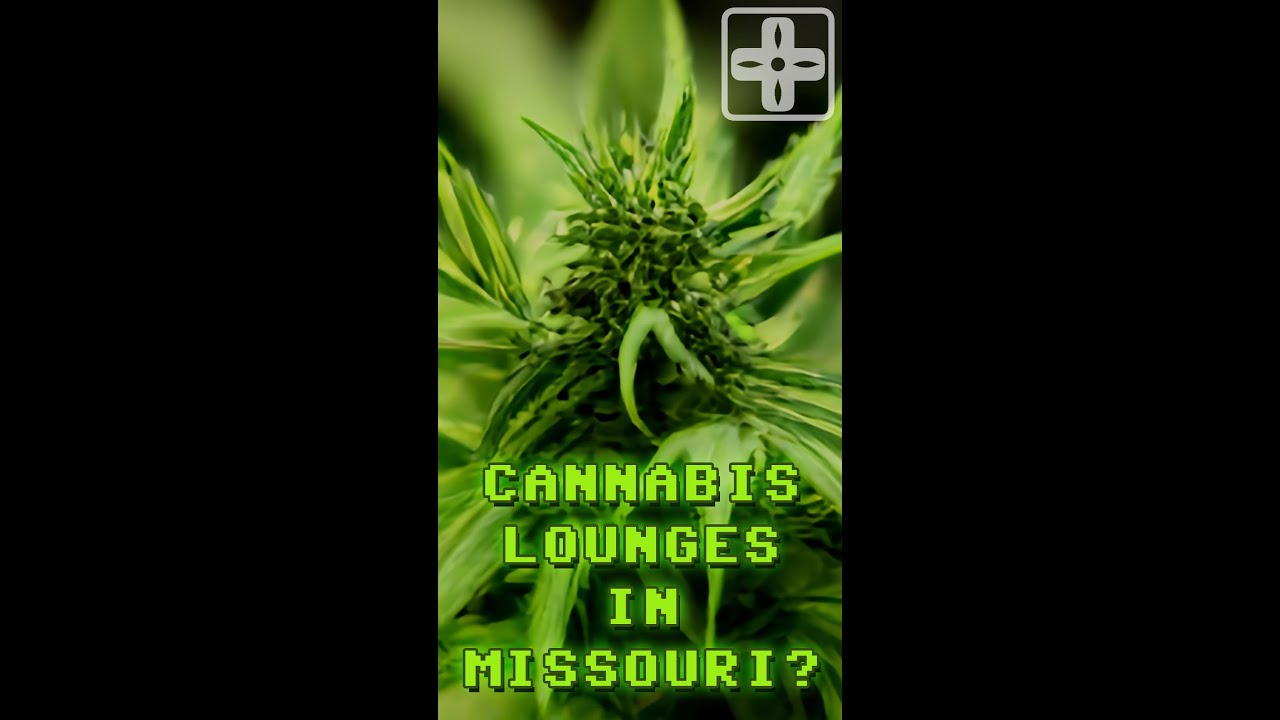 Missouri Cannabis Lounges - AI Does The News #shorts