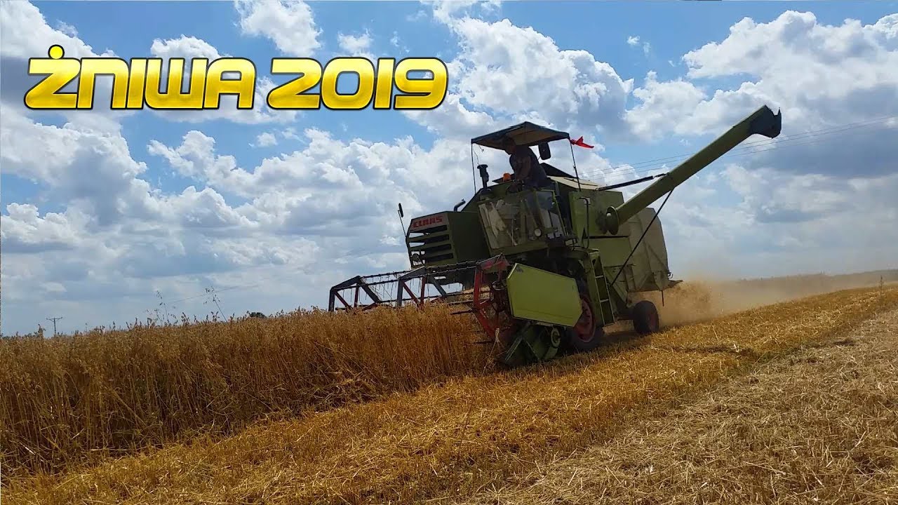 Żniwa 2019 [#1] Claas Consul & T-25