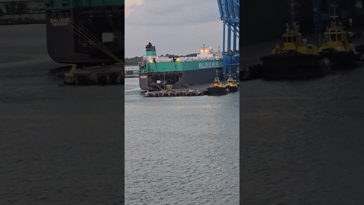 Wallenius Wilhelmsen Ship in Panama
