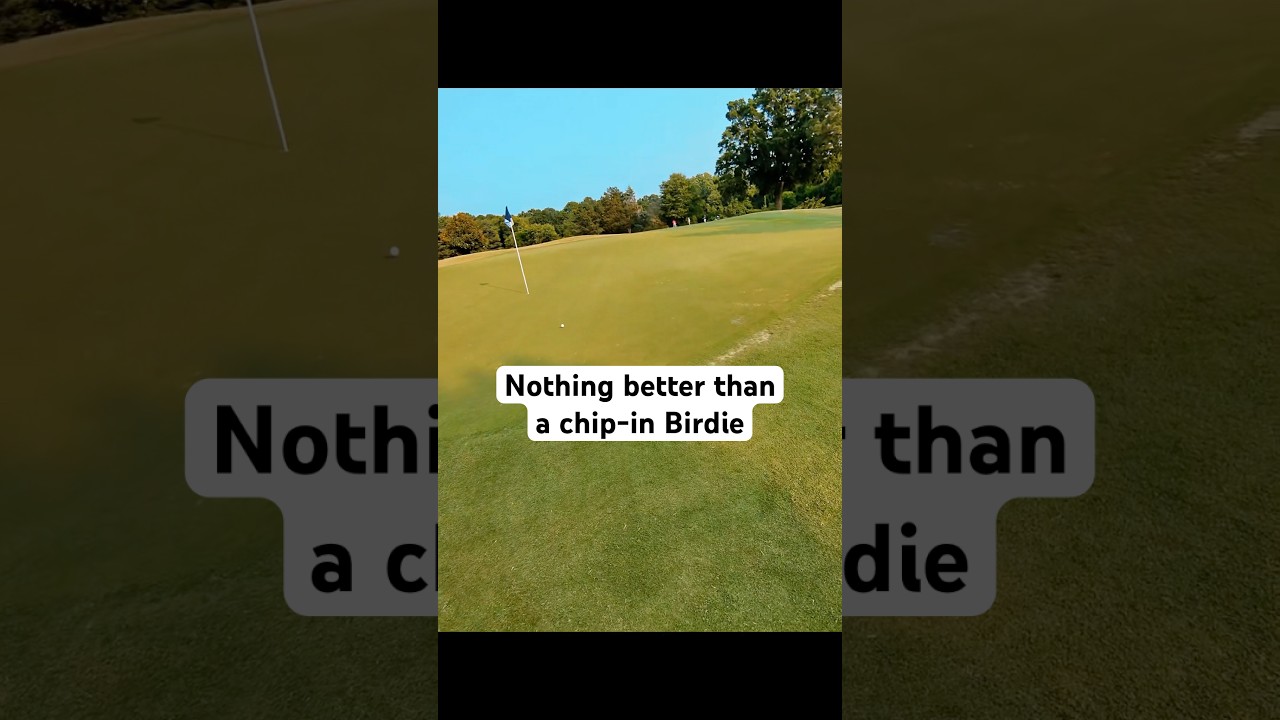 Go ahead, name something. I&rsquo;ll wait&hellip; #golf #relatable #golfer #golfshorts #golflife #golfing #pov