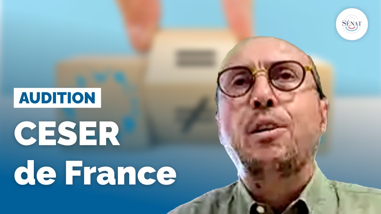 CESER de France : audition Dominique Vienne, président