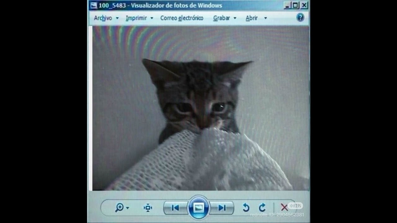 melancholic dnb type beat - 