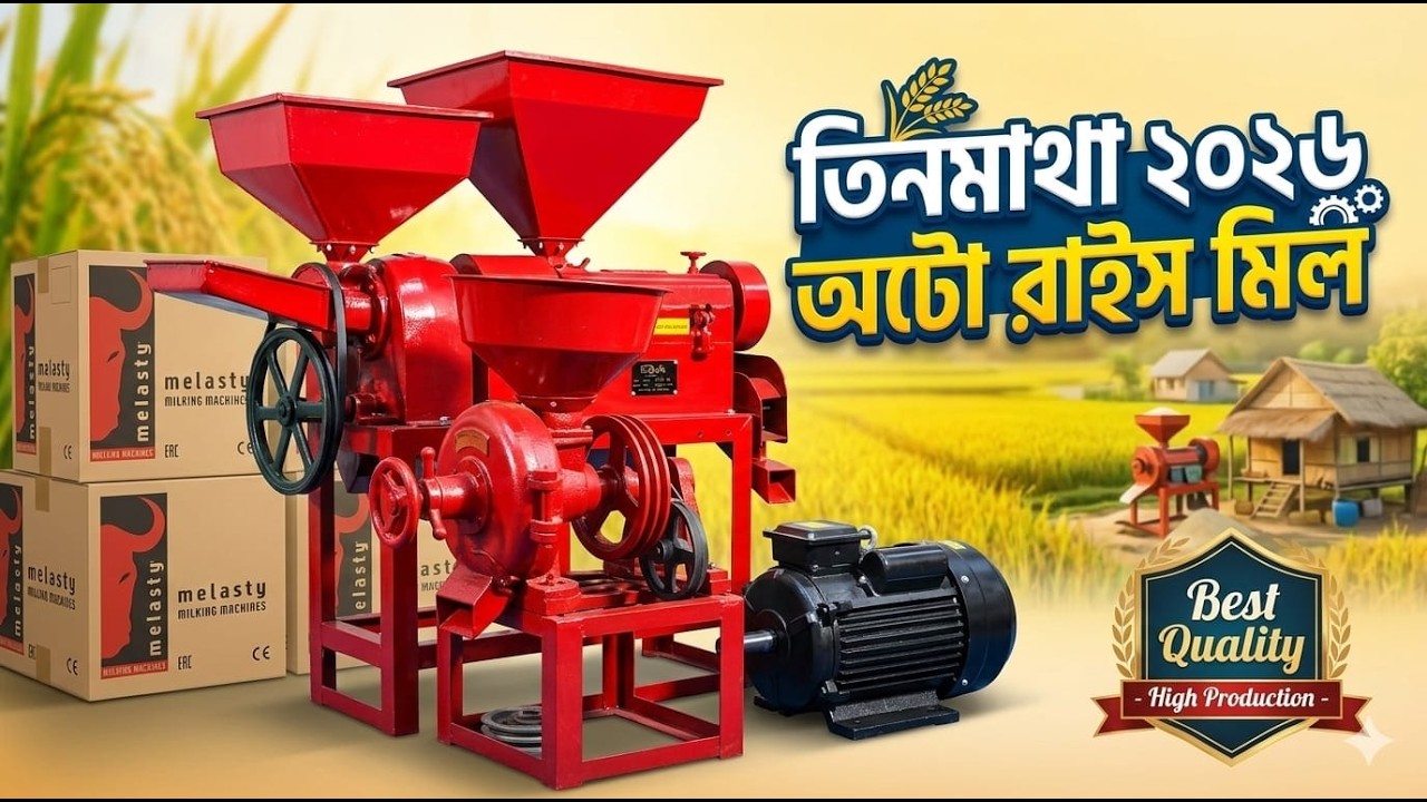 Combined mini rice mill | Mini china auto rice mill price in Bangladesh | চায়না অটো রাইস মিল