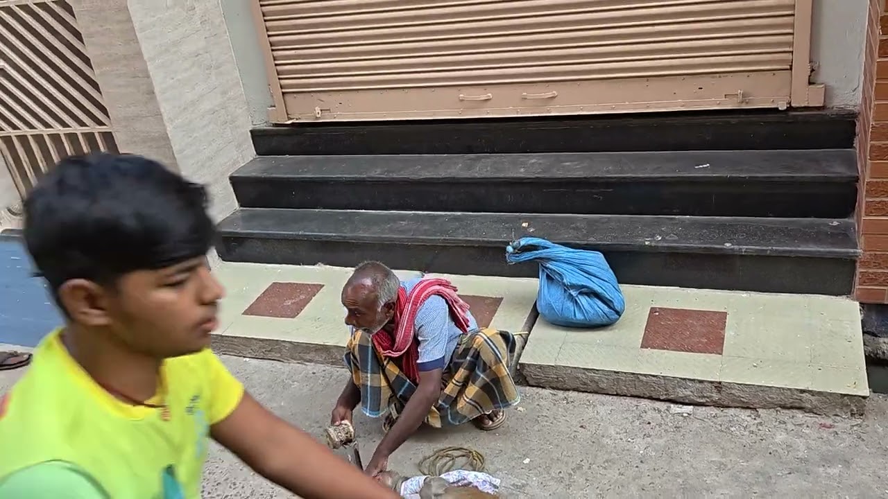 বাঁদর খেলা শেষ পর্যন্ত না দেখলে খুব বড় জিনিস মিস করবেন  🙉🙉🙉