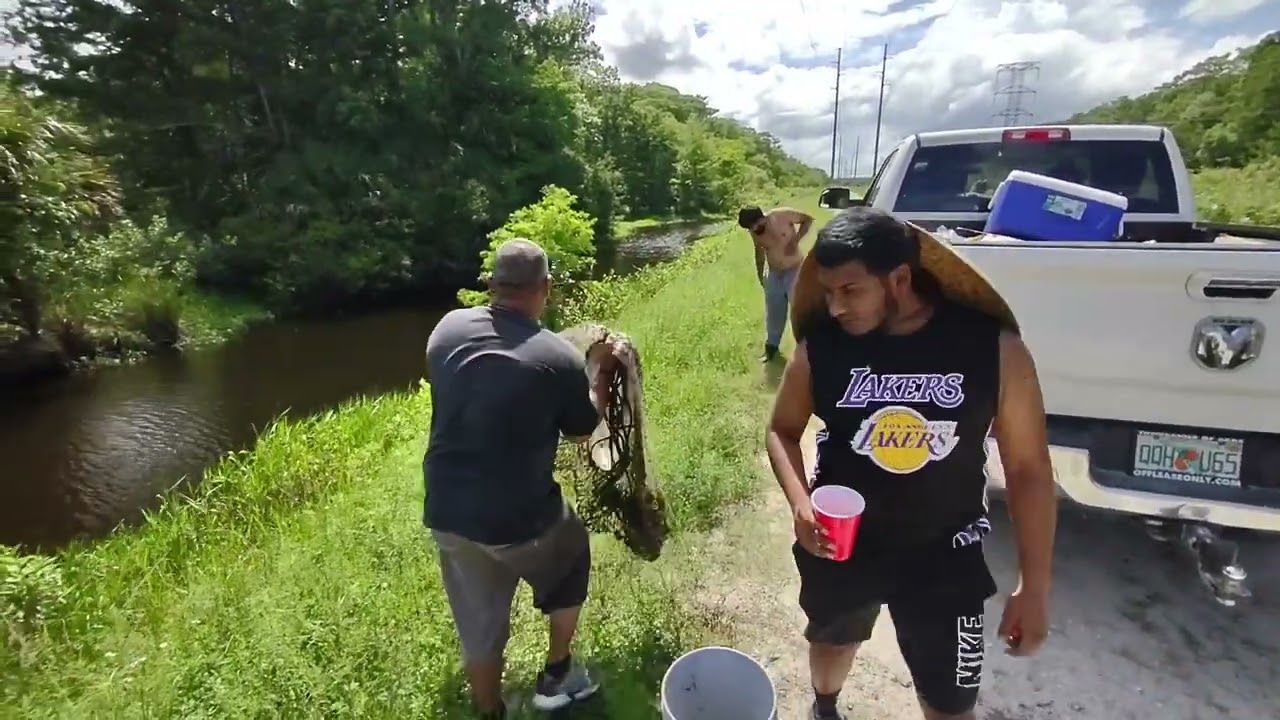 Florida#fishing#St Johns River Hassa day!!!#14