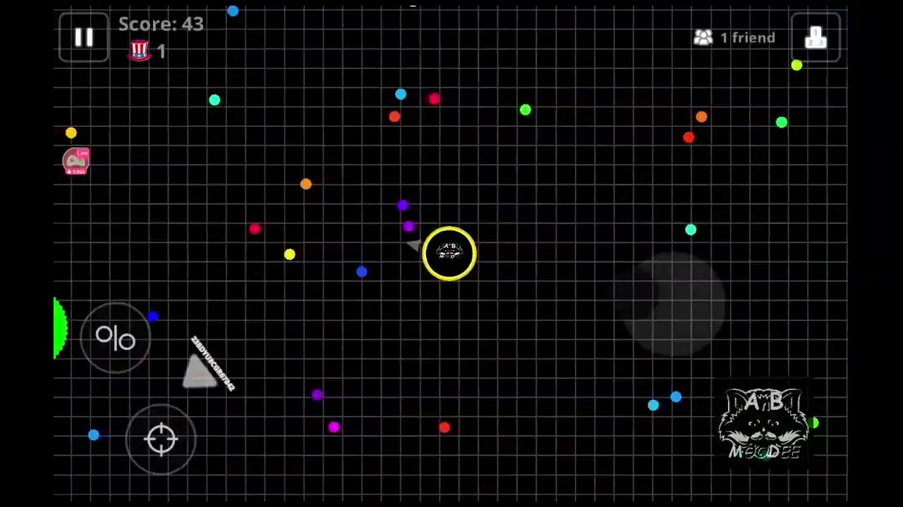 Agar.io Live, Sunday afternoon sessions