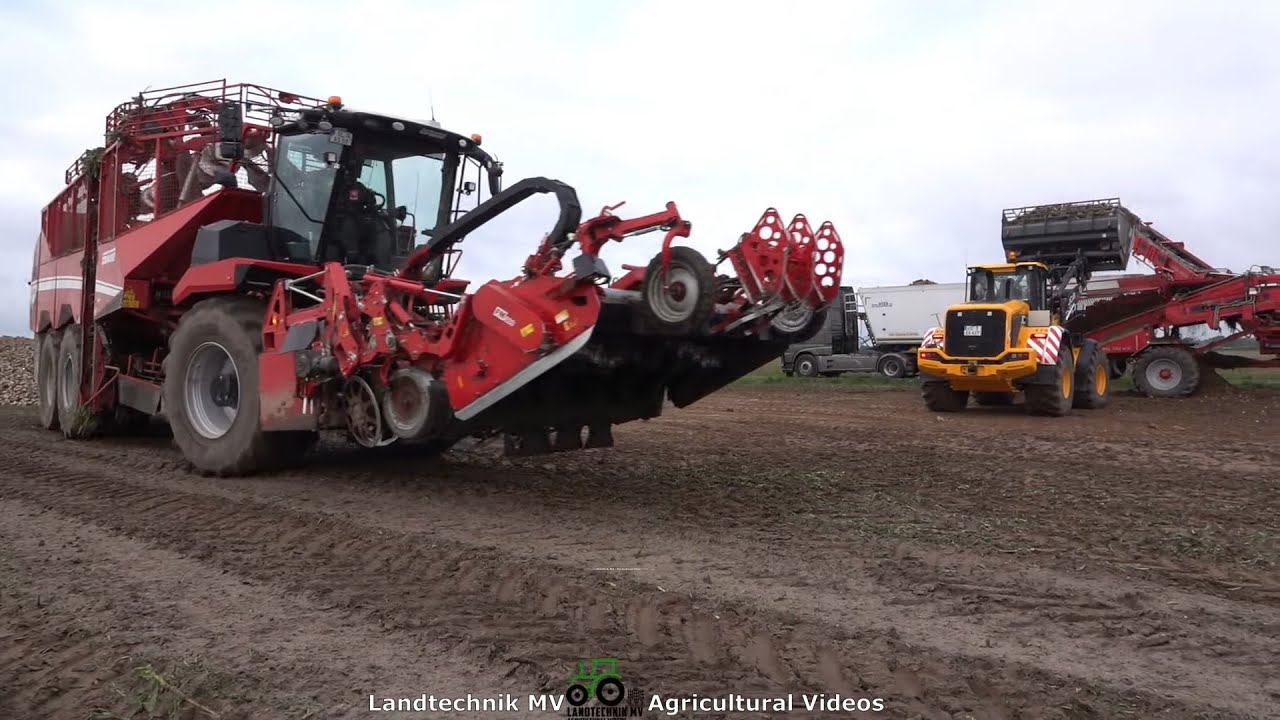 Grimme - JCB - ++ / Rübenernte & Verladung - Harvesting & Loading Beets  2021