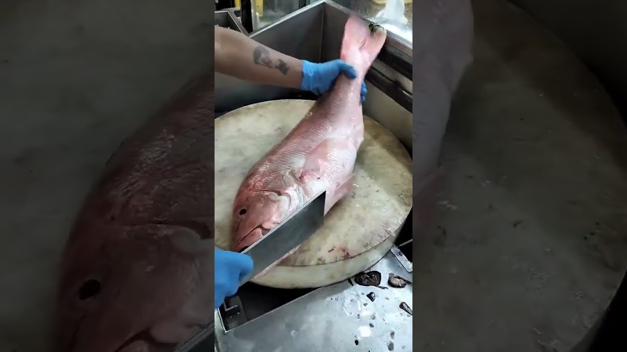Amazing Red Snapper Fish Clean Skill#youtube #youtubeshorts #shortsvideo #short