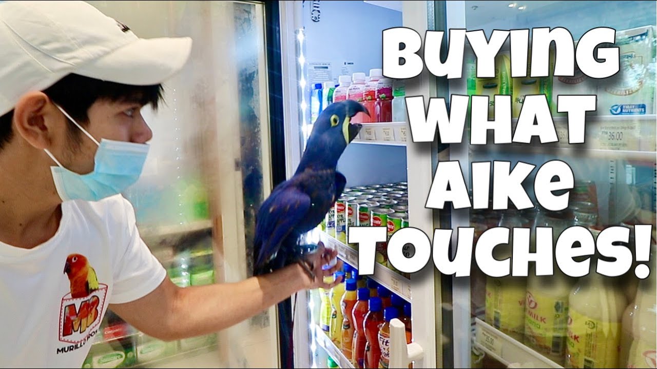 BUYING MY PARROT EVERYTHING HE TOUCHES! Bumili ng alak si Aike lasing kami (HYACINTH) | Murillo Bros