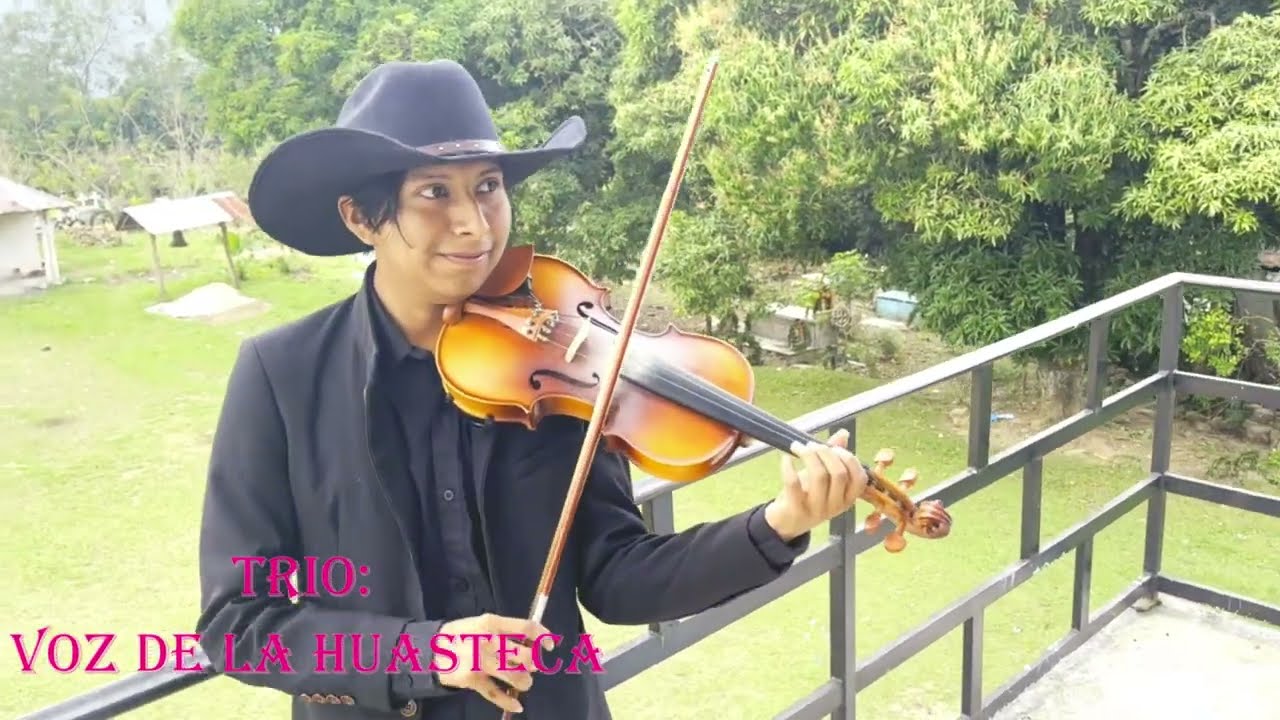 TRIO VOZ DE LA HUASTECA////TEMA: ME CAMBIASTE///AUTOR: D.A.R.