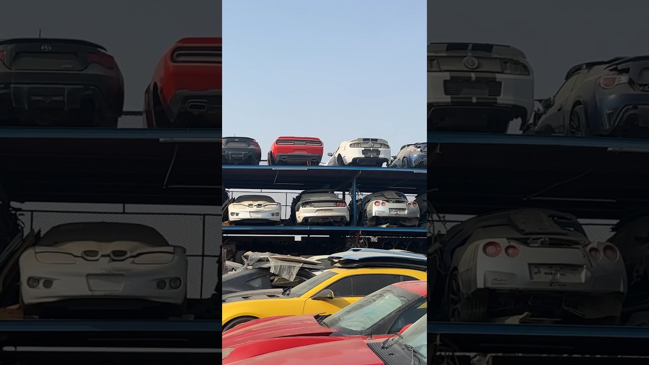 ￼￼ ABANDONED CARS #dubai #cars #world