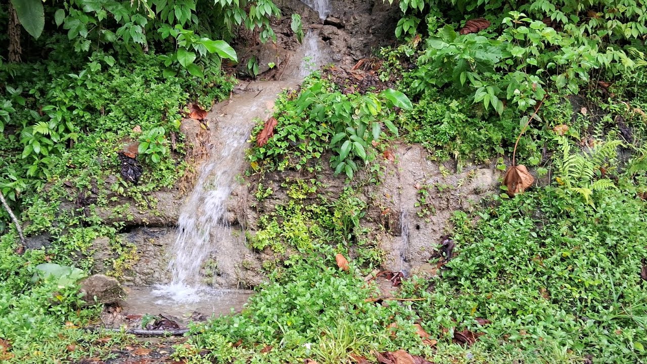 Grand Riviere part 2