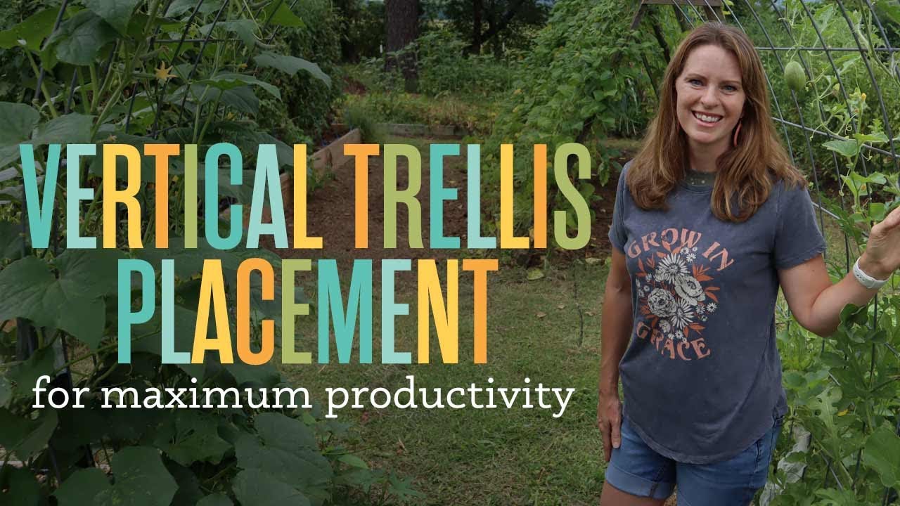 Where to Place Vertical Trellises in the Garden