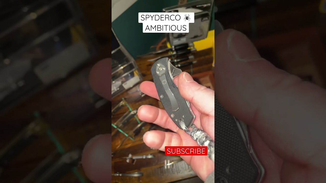 SPYDERCO AMBITIOUS.. My favorite budget SPYDERCO! SUBSCRIBE for more videos!