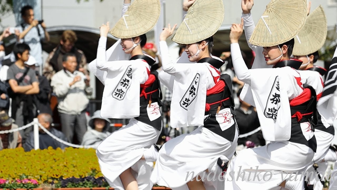 阿波踊り　藝茶楽　女踊り