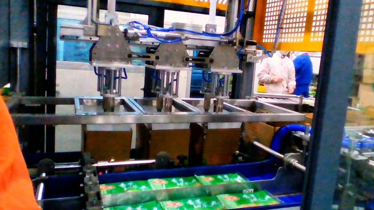 Upgrade Your Production Line with Our Smart Servo-Controlled Case Packer!