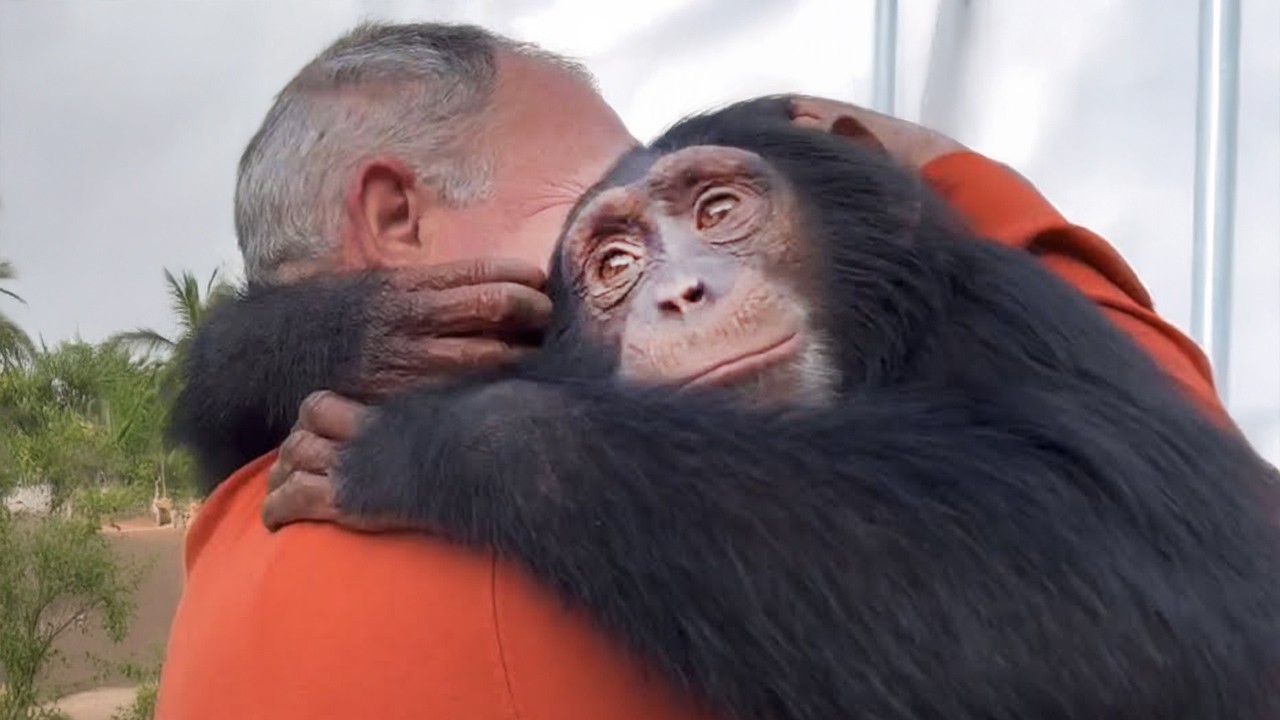 Best Moments When Animals Reunited With Their Owners After Years