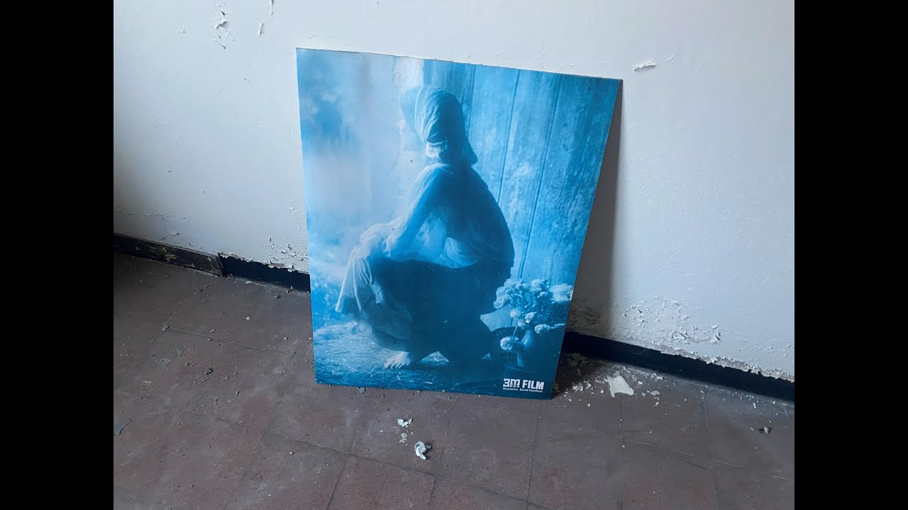 QUALCUNO NON CI VUOLE SU QUESTO PIANO
