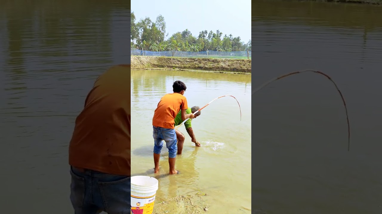 দাদা মাছ দোরছি #viralvideo #fishing 