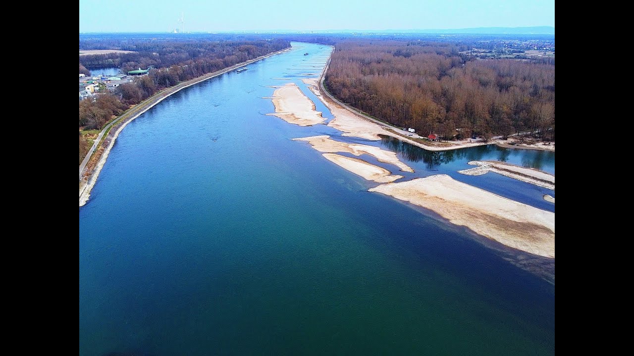 Rhein bei Lauterburg von drohne / Rhein near Lauterbourg  12.03.22