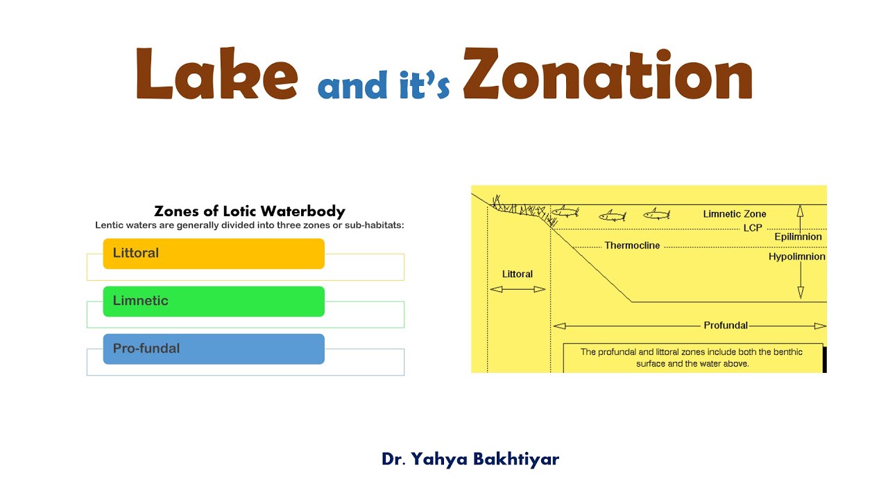14 Lake and its Zonation| Lake Zonation| Zones of a Lake