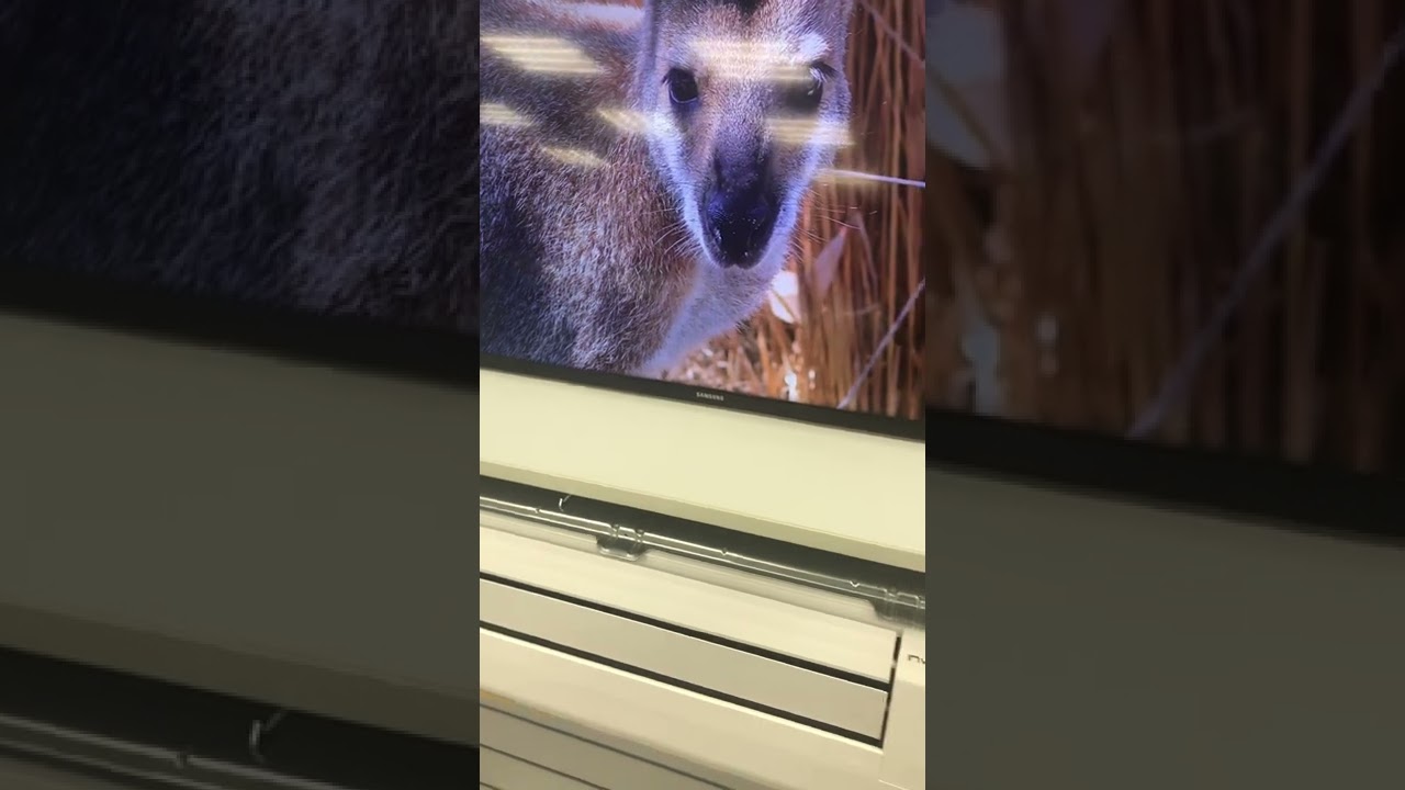 Samsung ue40