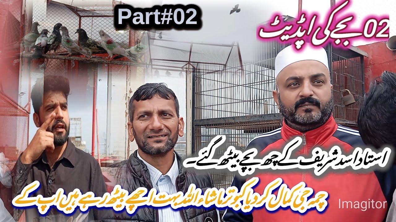 چما جی کمال کر دیا کبوتر ماشاءاللہ بہت اچھے بیٹھ رہے ہیں اپ کے گھر کے دو بجے کی اپڈیٹ۔