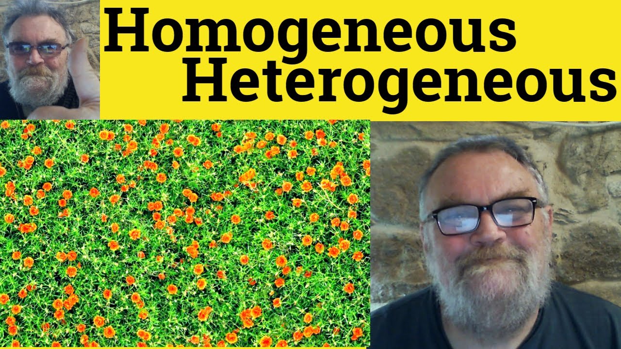 😎 Heterogeneous Meaning - Homogeneous Defined - Heterogeneous Examples - Homogeneous Definition