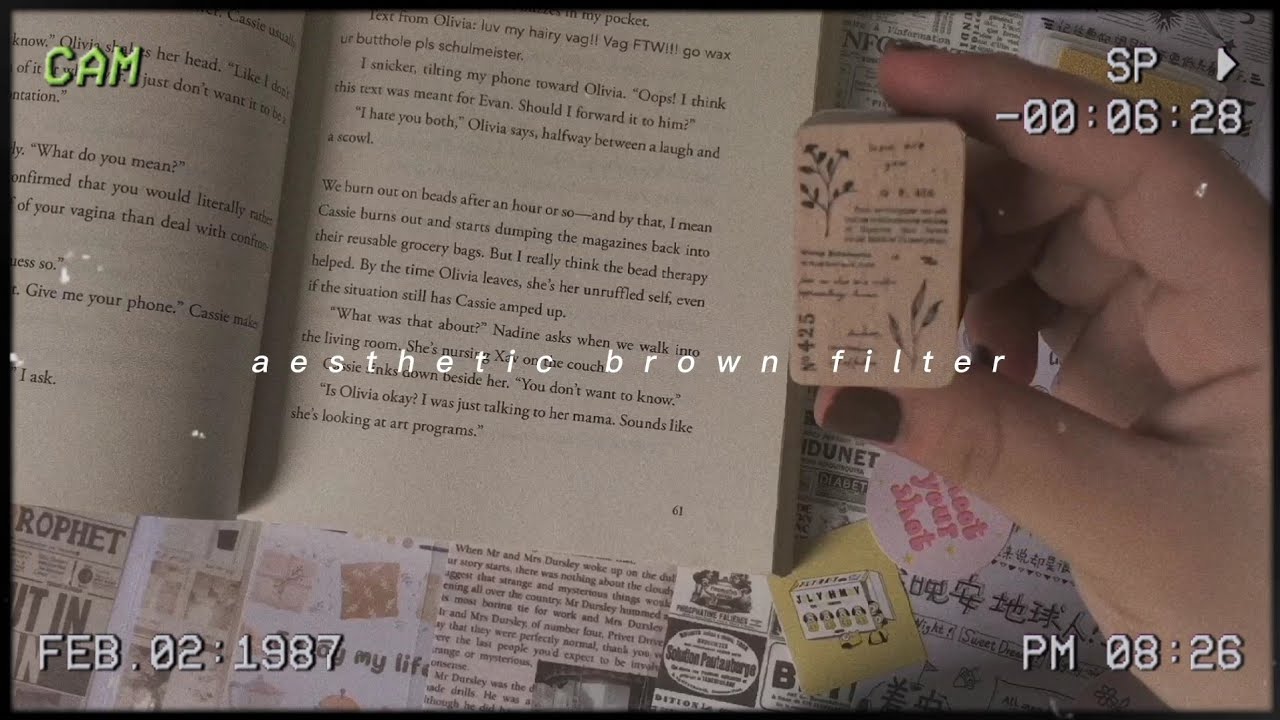 how to edit aesthetic brown filter on your video