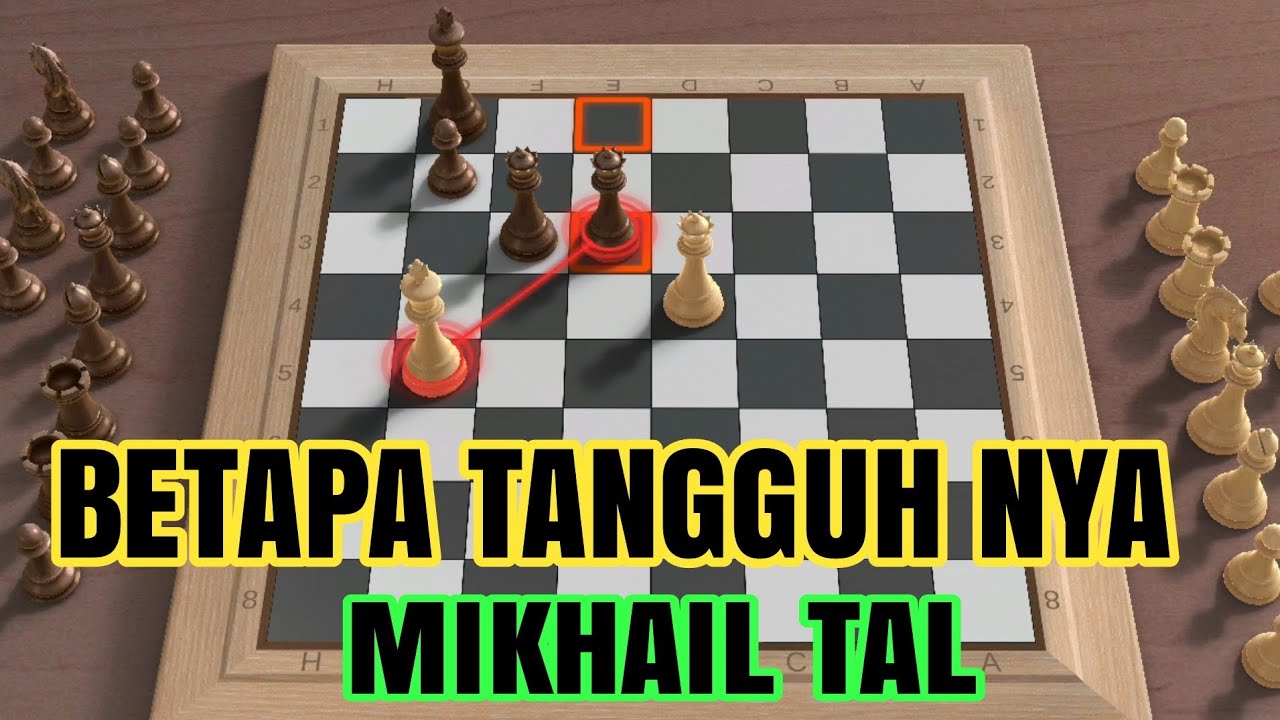 SERU! DUEL sampe habis gak mau nyerah juga jiri vs tal