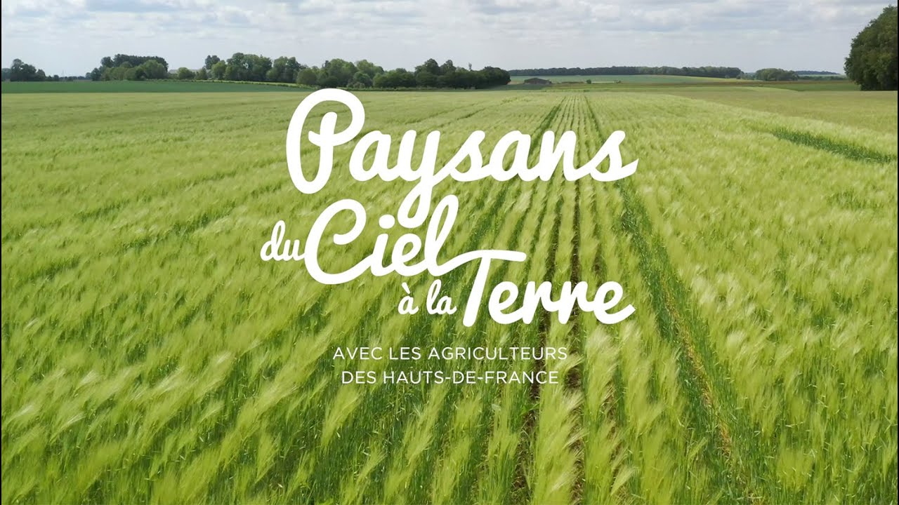 Paysans du ciel à la terre - Le film documentaire - Teaser - Agriculture Hauts-de-France