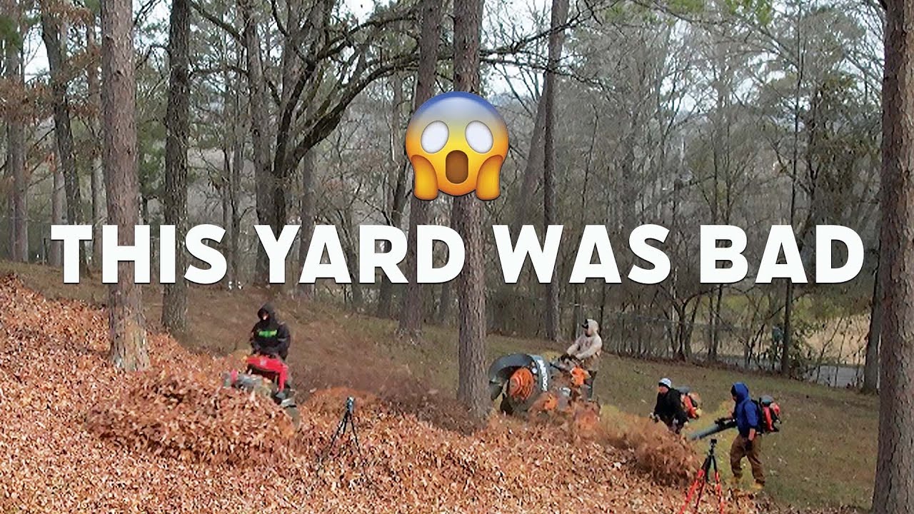 This Yard Was TOTALLY OVERWHELMED With Leaves… UNTIL NOW! We FILLED UP our truck THREE times. 