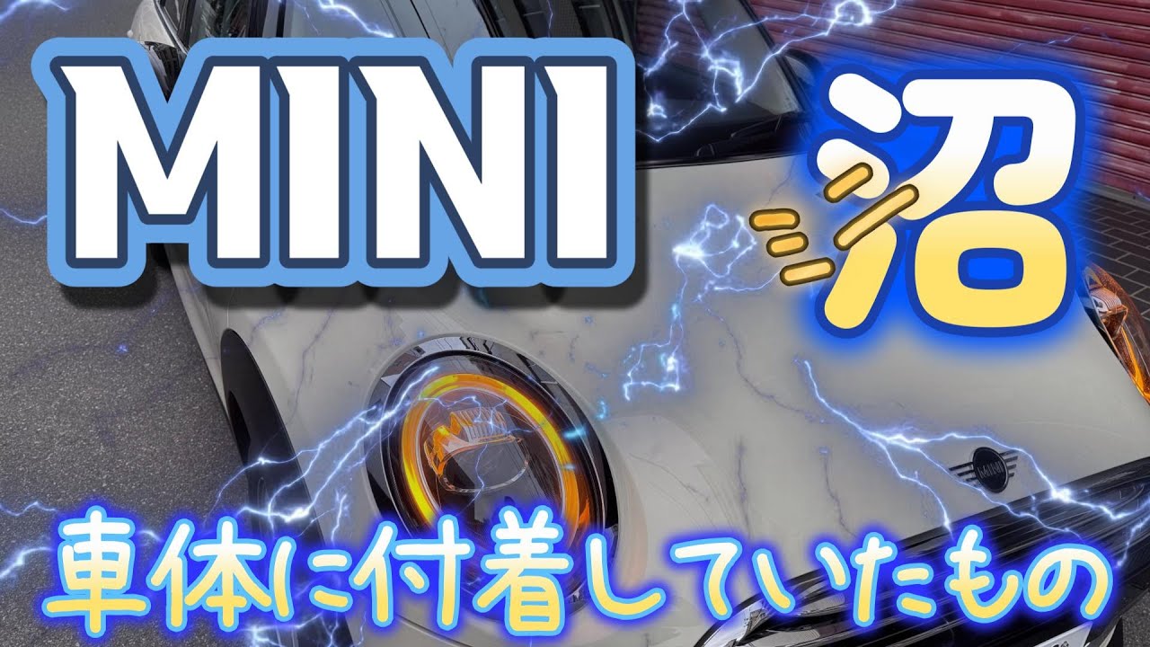 ミニクーパー　日本国内№１からチャーハンまで