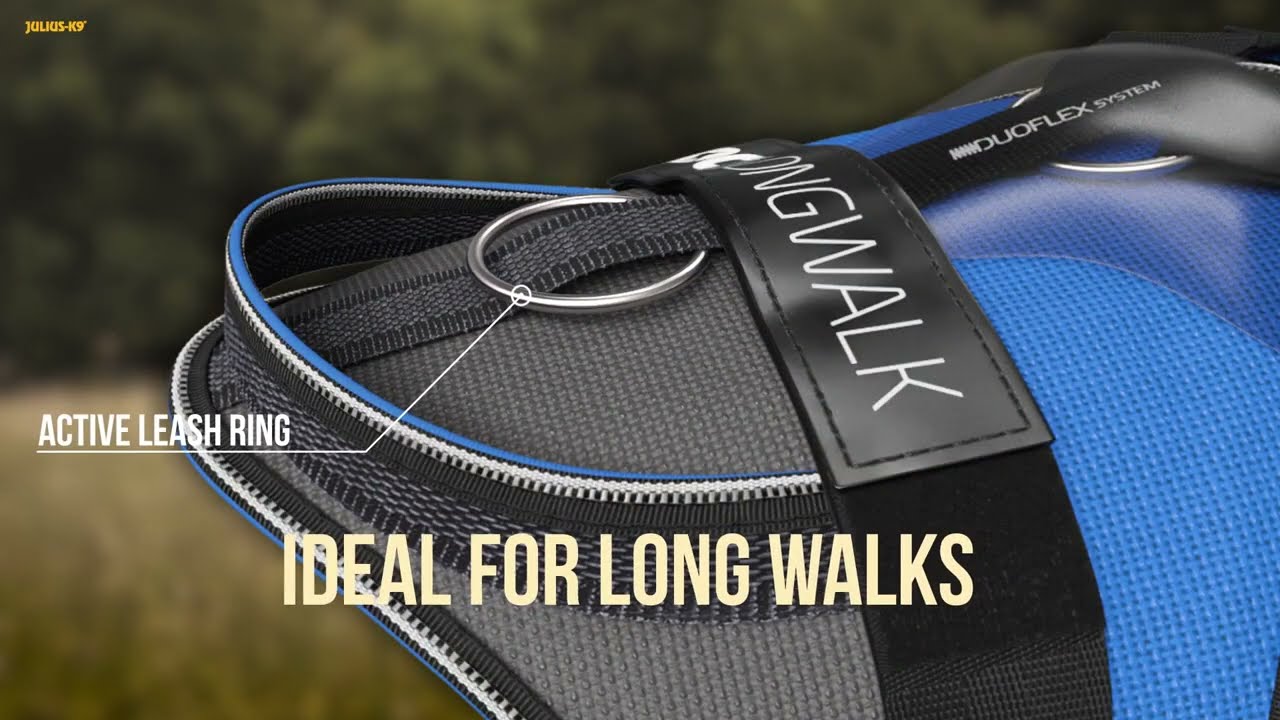 IDC&reg; Longwalk - El arn&eacute;s para los paseos m&aacute;s largos