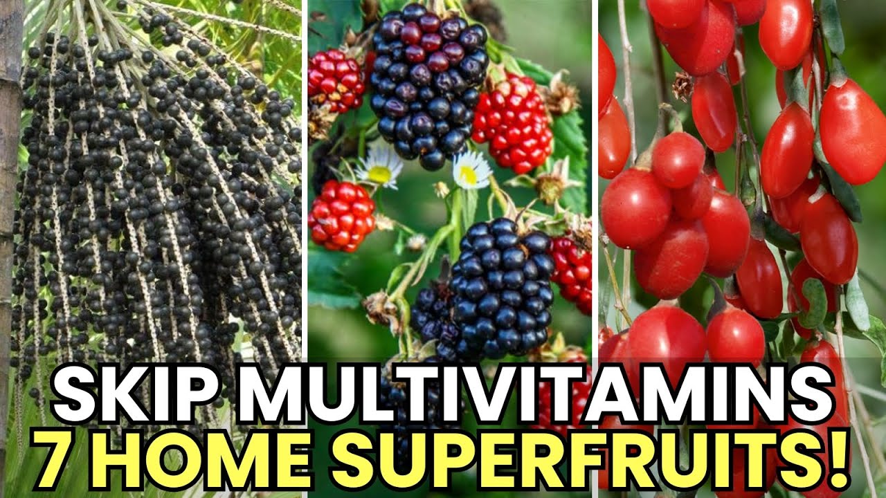 Before Your Next Multivitamin Purchase, Look at These 7 Homegrown Superfruits, It Might Surprise You