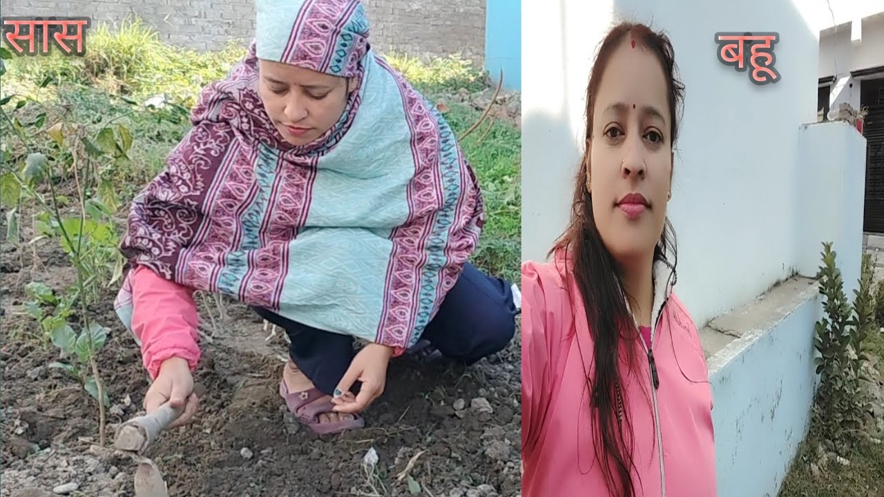 #सास बहू की छोटी मोटी नोक झोंक #पहाड़ी कॉमेडी#खेती  बाडी