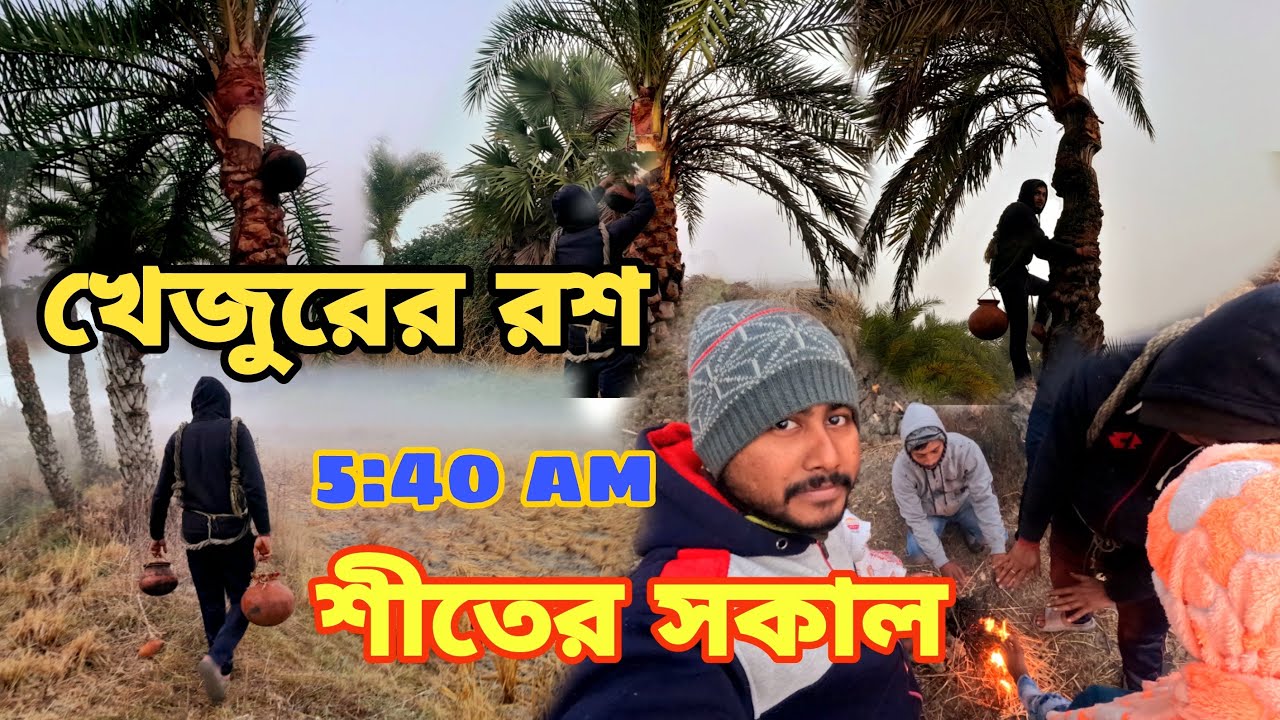 খেজুর গাছের রস | শীতের সকালে | 2026