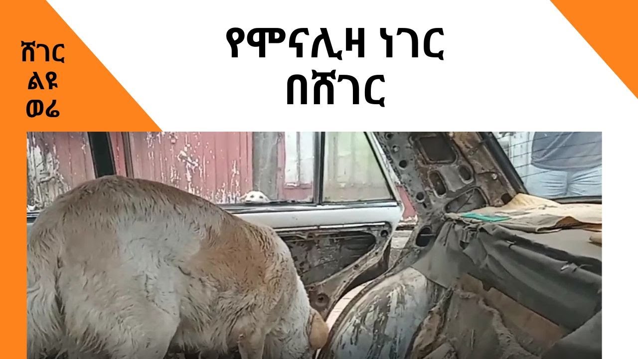 Sheger Liyu Were - የሞናሊዛ ነገር በሸገር - በወንድሙ ኃይሉ Wendimu Hailu