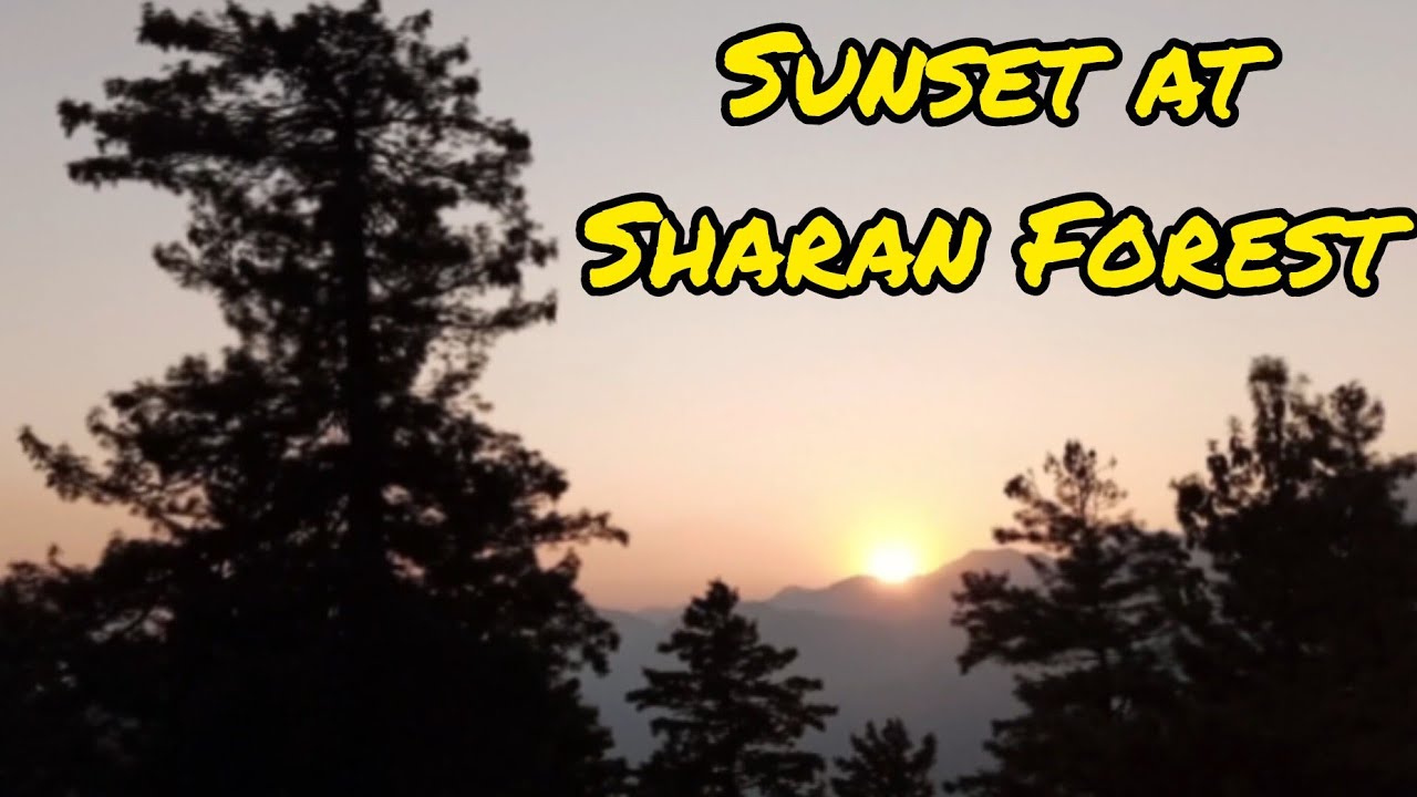 Sunset at Sharan Forest – The Most Peaceful Hidden Gem of Kaghan Valley #travelpakistan