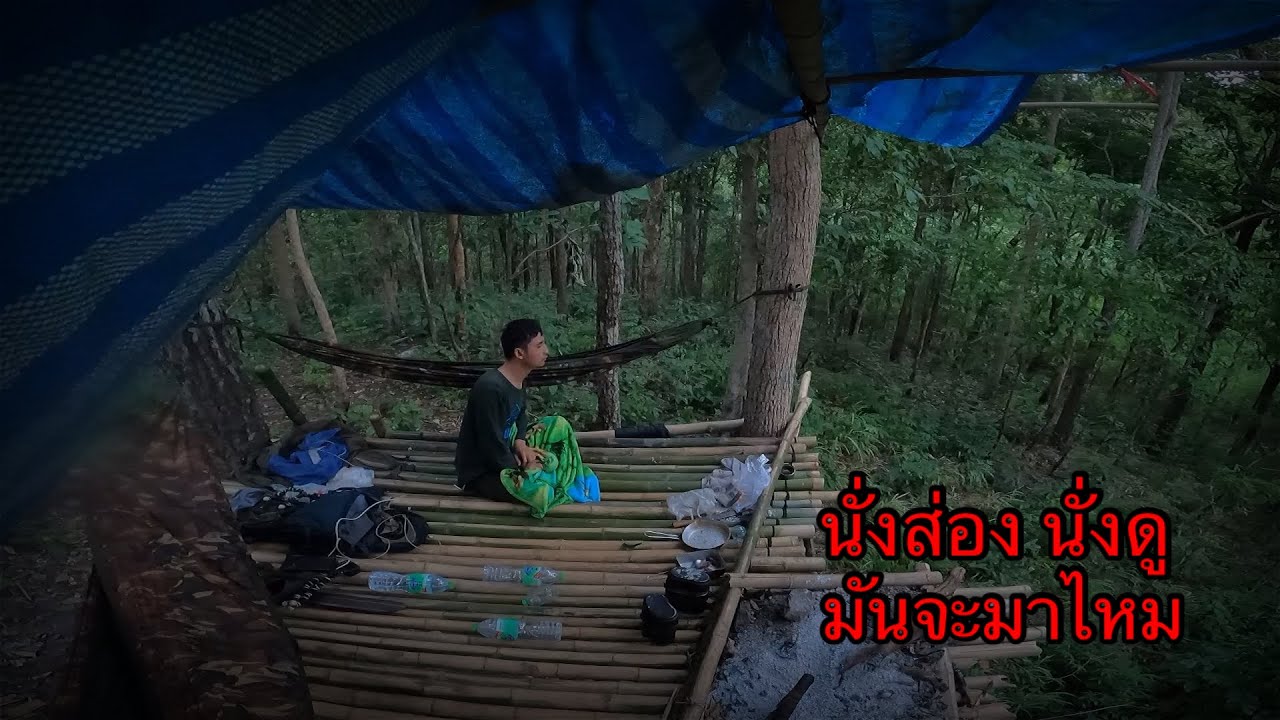 กลับมานอนห้างสามเหลี่ยมเพื่อมาตามหาเสียงที่เคยได้ยิน