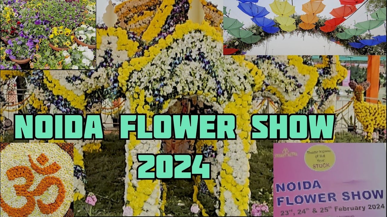Flower Show, Noida Stadium, 23-25 Feb #flowershow2024 #travelvlog #noidastadium #noidavlog #flowers