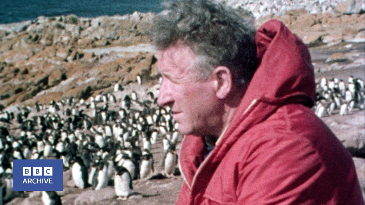 1974: Len Hill - Penguin Millionaire | The World About Us | BBC Archive