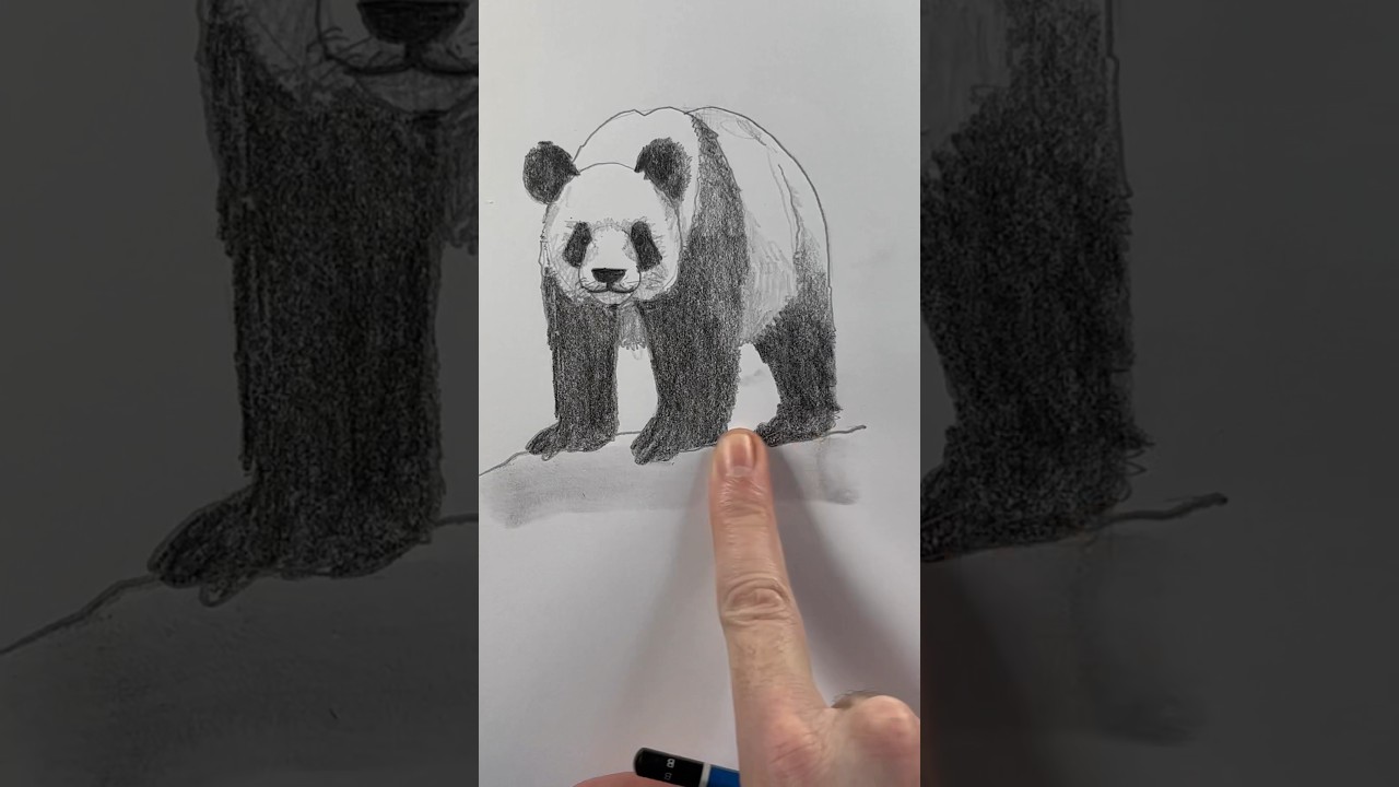 Рисуем панду 🐼 Простой урок рисования для начинающих о том, как нарисовать панду. #howtodraw #dra...